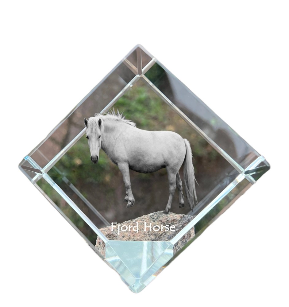 Fjord Horse - crystal cube with a horse picture, horse picture in crystal, cubic paperweight from Art-Dog brand