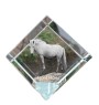 Fjord Horse - crystal cube with a horse picture, horse picture in crystal, cubic paperweight from Art-Dog brand