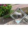 Fjord Horse - crystal cube with a horse picture, horse picture in crystal, cubic paperweight from Art-Dog brand