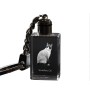 Snowshoe - Crystal pendant with cat photo, illuminated pendant, unique gift by Art-Dog brand