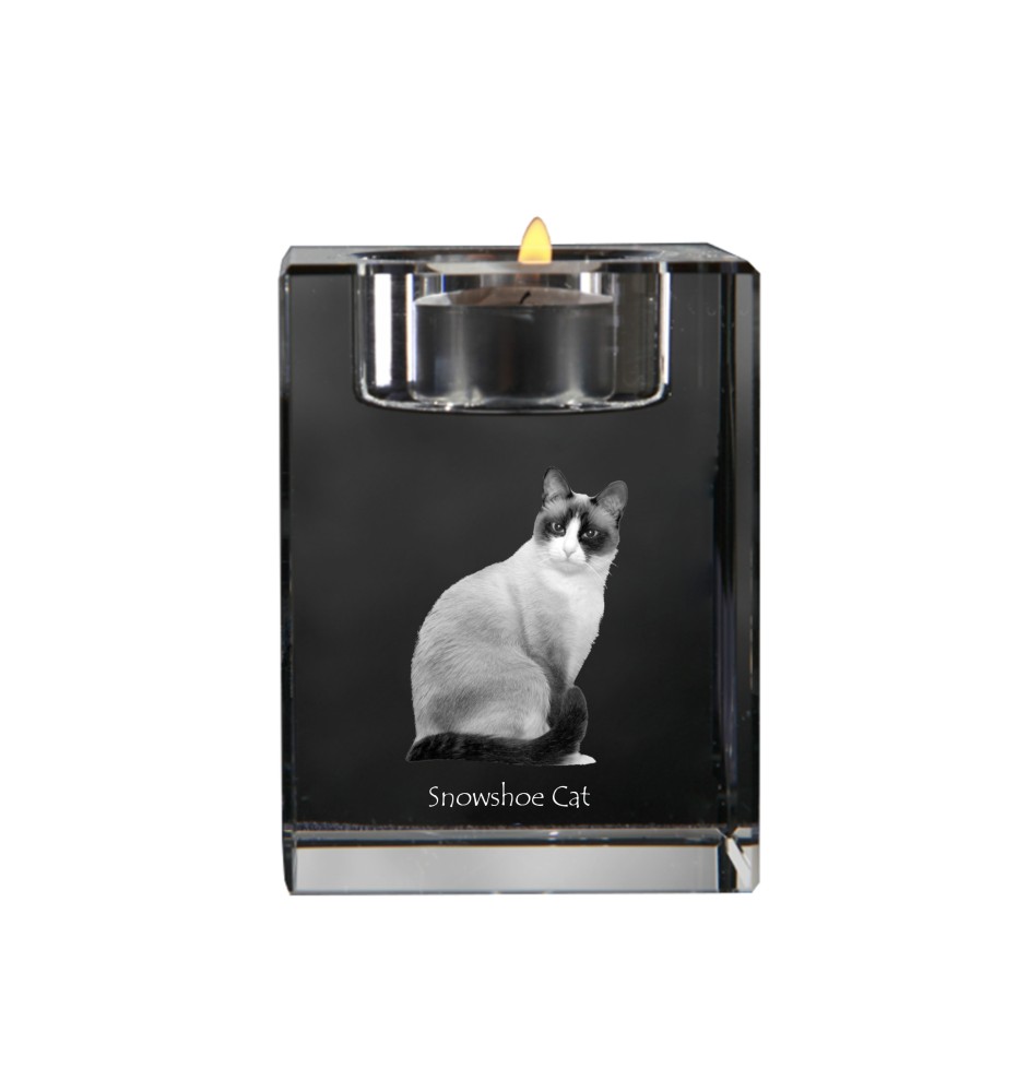 Snowshoe - Candle holder with cat photo, crystal tealight holder, personalised gift by Art-Dog brand