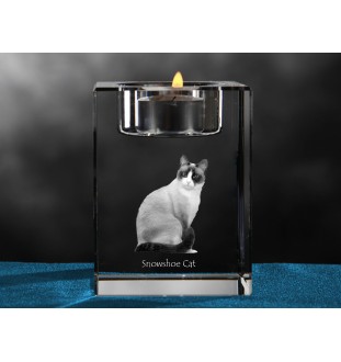 Snowshoe - Candle holder with cat photo, crystal tealight holder, personalised gift by Art-Dog brand