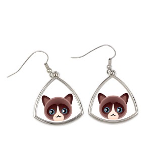 Snowshoe - elegant metal earrings as a gift from the Art-Dog brand