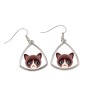Snowshoe - elegant metal earrings as a gift from the Art-Dog brand