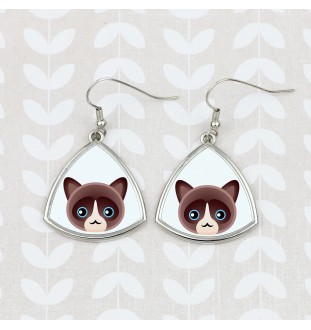 Snowshoe - elegant metal earrings as a gift from the Art-Dog brand