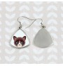 Snowshoe - elegant metal earrings as a gift from the Art-Dog brand