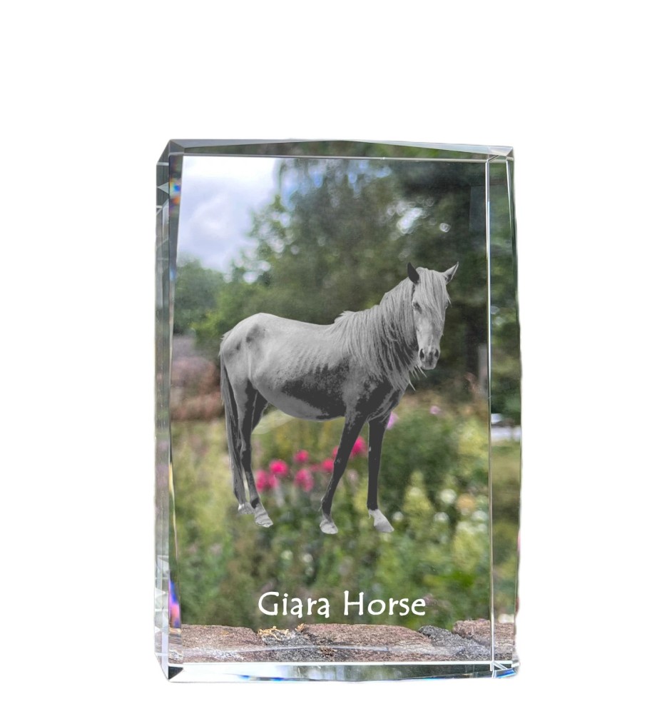 Cheval Giara - cristal avec une photo de cheval, photo sous verre, exposition moderne de la marque de photos Art-Dog