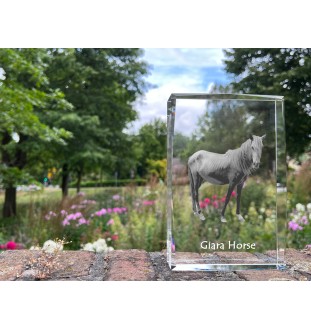 Cheval Giara - cristal avec une photo de cheval, photo sous verre, exposition moderne de la marque de photos Art-Dog