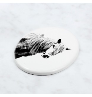 Giara Horse - commemorative plaque with a photo of a horse, tombstone plaque with a print, personalized oval plaque by Art-Dog brand