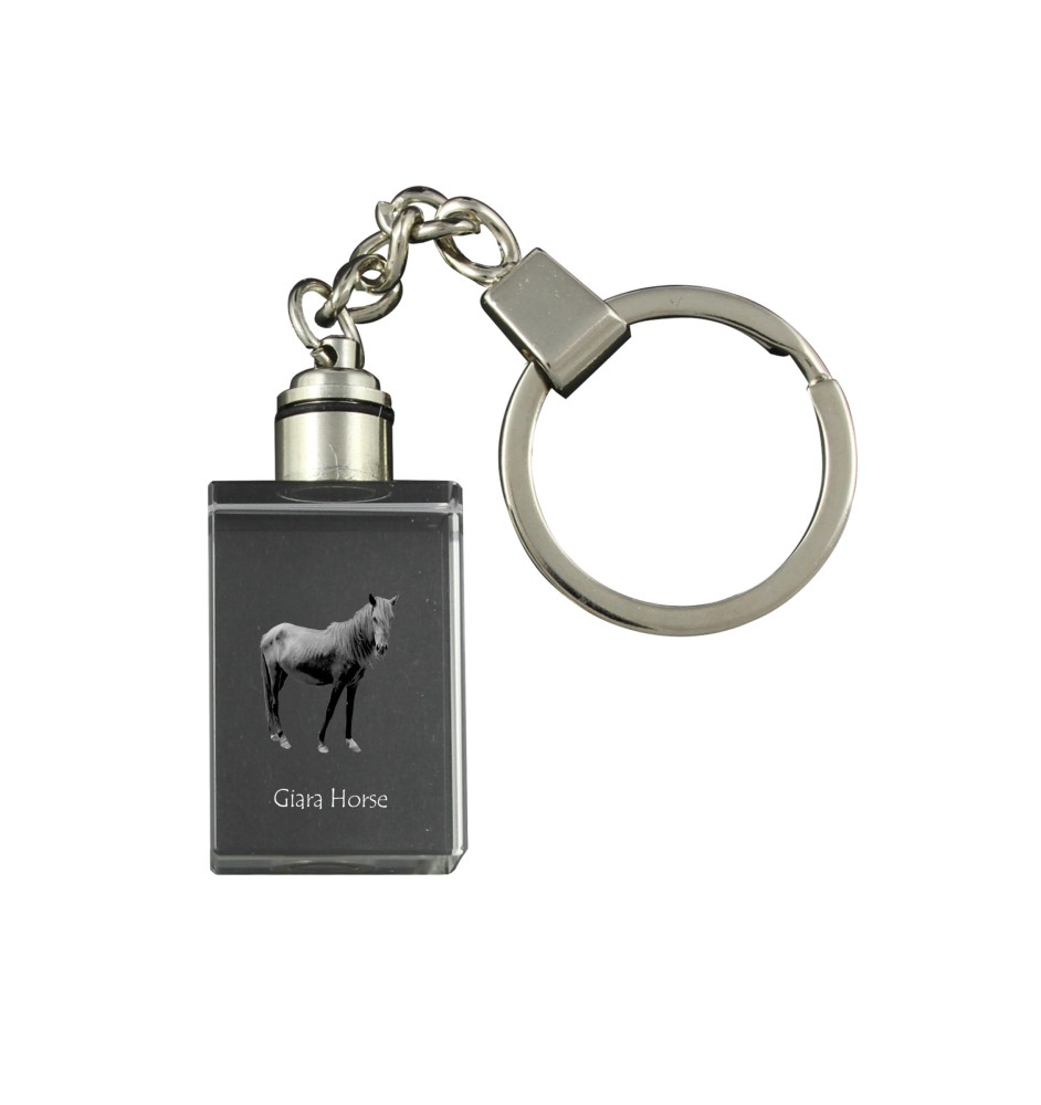 Giara Horse - Crystal pendant with photo of a horse, illuminated pendant, unique gift by Art-Dog brand