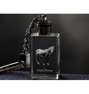Giara Horse - Crystal pendant with photo of a horse, illuminated pendant, unique gift by Art-Dog brand