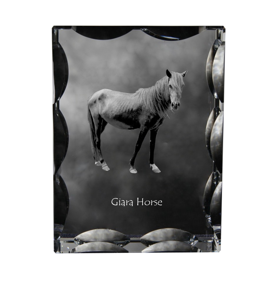 Giara Pferd - crystal with a picture of a horse, glass statuette with a picture, unique frame with a picture from Art-Dog brand