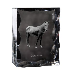 Giara Horse - kryształ ze zdjęciem konia, szklana statuetka ze zdjęciem, wyjątkowa ramka ze zdjęciem marki Art-Dog