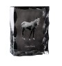 Giara Pferd - crystal with a picture of a horse, glass statuette with a picture, unique frame with a picture from Art-Dog brand