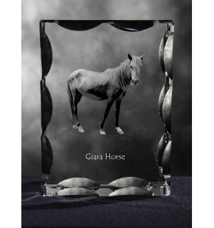 Giara Pferd - crystal with a picture of a horse, glass statuette with a picture, unique frame with a picture from Art-Dog brand