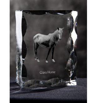 Cheval Giara - Kristall mit einem Pferdebild, Glasstatuette mit einem Bild, einzigartiger Bilderrahmen der Marke Art-Dog