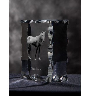 Giara Pferd - crystal with a picture of a horse, glass statuette with a picture, unique frame with a picture from Art-Dog brand