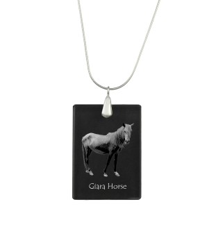 Cheval Giara - Crystal pendant with horse, silver necklace with photo, personalised pendant by Art-Dog brand