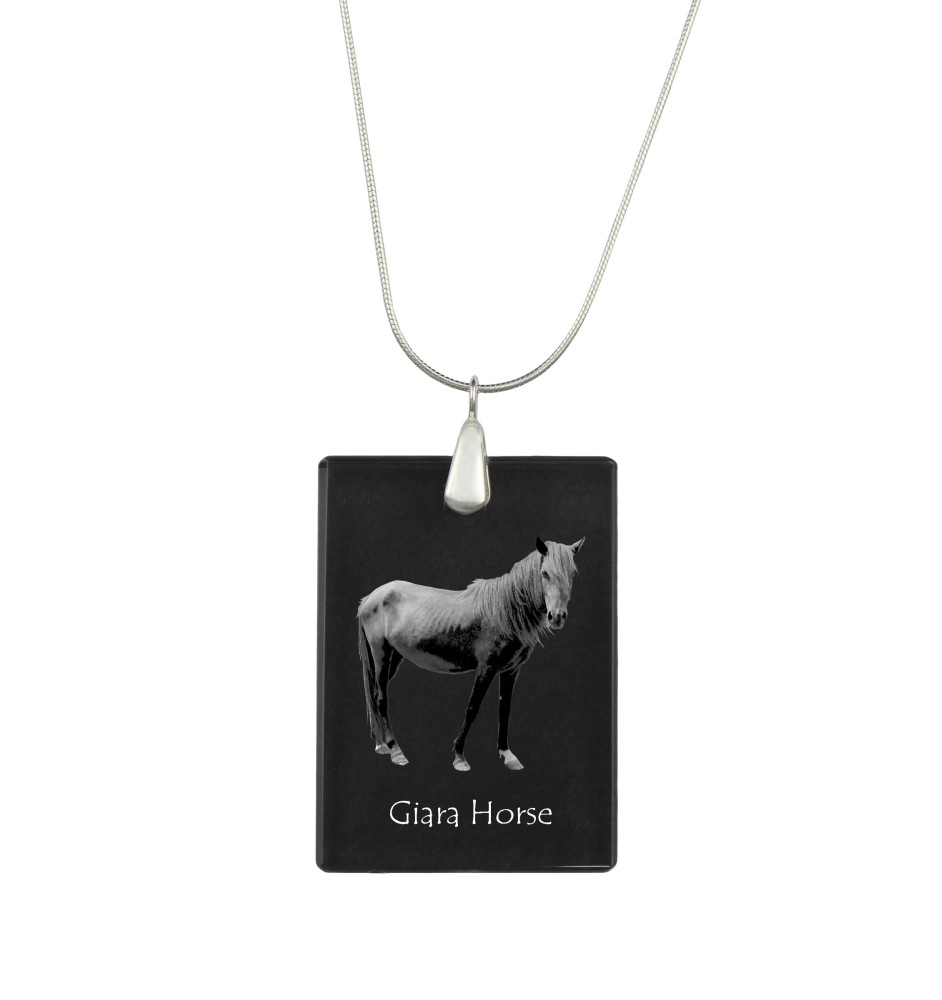 Giara Pferd - Crystal pendant with horse, silver necklace with photo, personalised pendant by Art-Dog brand
