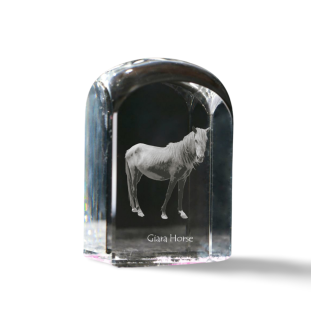 Giara Horse - crystal cube with a photo, photo of a horse in crystal, cubic paperweight from Art-Dog brand