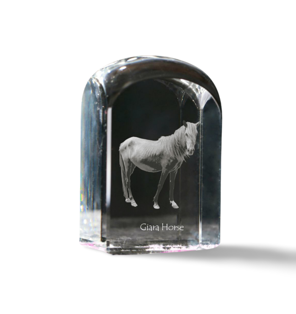 Giara Horse - crystal cube with a photo, photo of a horse in crystal, cubic paperweight from Art-Dog brand