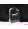 Giara Horse - crystal cube with a photo, photo of a horse in crystal, cubic paperweight from Art-Dog brand