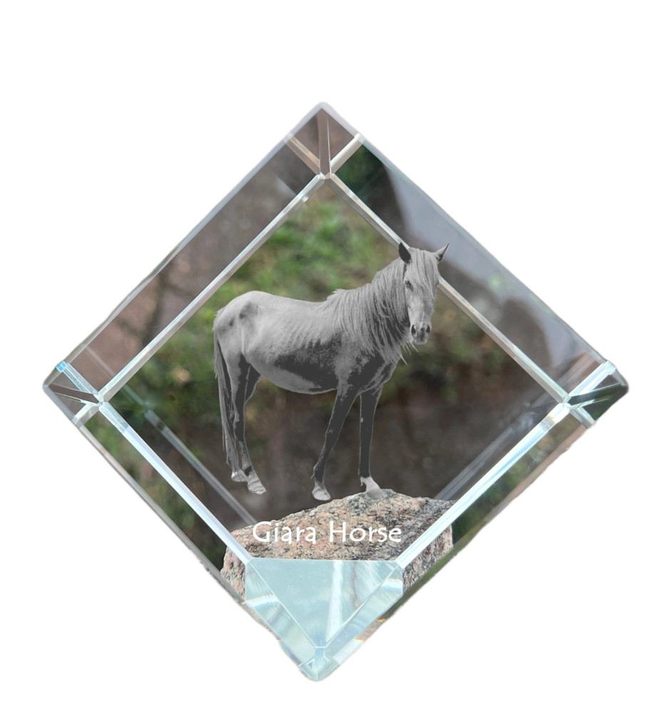 Giara Horse - crystal cube with a horse picture, horse picture in crystal, cubic paperweight from Art-Dog brand