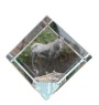 Giara Horse - crystal cube with a horse picture, horse picture in crystal, cubic paperweight from Art-Dog brand