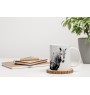 Giara Horse - cup with a horse, cute cup with graphics, a gift with your photo from the Art-Dog brand