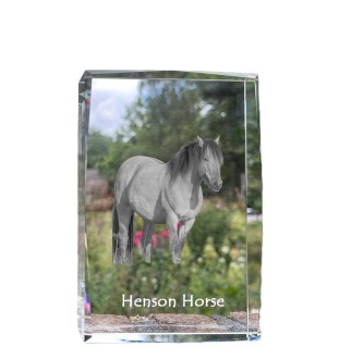 Cheval Henson - cristal avec une photo de cheval, photo sous verre, exposition moderne de la marque de photos Art-Dog
