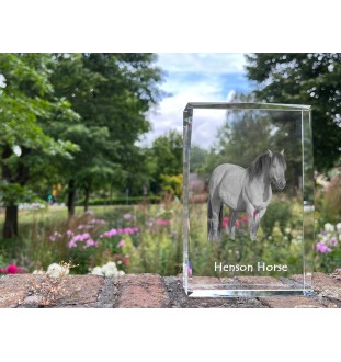 Cheval Henson - cristal avec une photo de cheval, photo sous verre, exposition moderne de la marque de photos Art-Dog