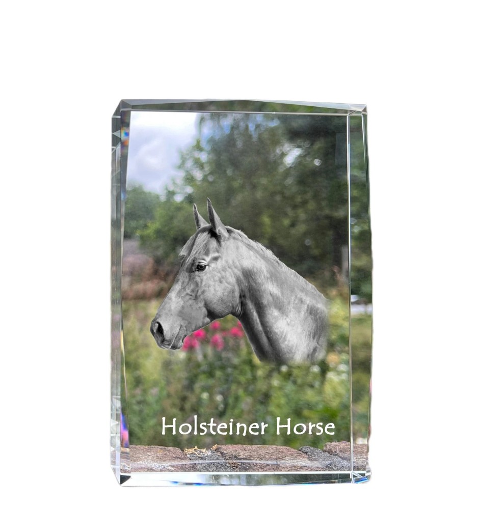 Holsteiner Horse - crystal with a picture of a horse, photo in glass, modern exhibition of Art-Dog brand photo