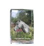 Cheval Holsteiner - cristal avec une photo de cheval, photo sous verre, exposition moderne de la marque de photos Art-Dog