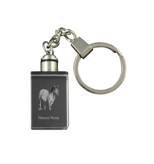 Henson Horse - Crystal pendant with photo of a horse, illuminated pendant, unique gift by Art-Dog brand
