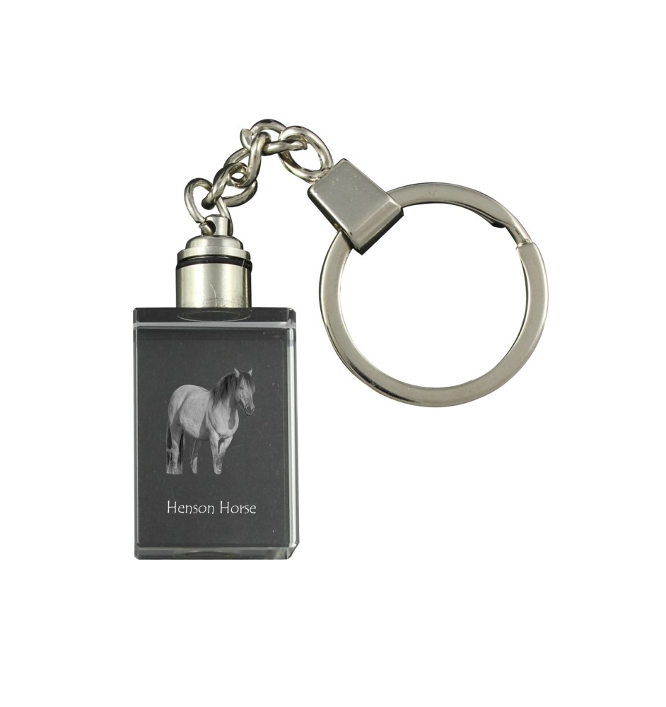 Henson Horse - Crystal pendant with photo of a horse, illuminated pendant, unique gift by Art-Dog brand