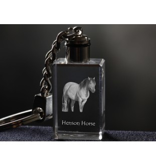 Henson Horse - Crystal pendant with photo of a horse, illuminated pendant, unique gift by Art-Dog brand