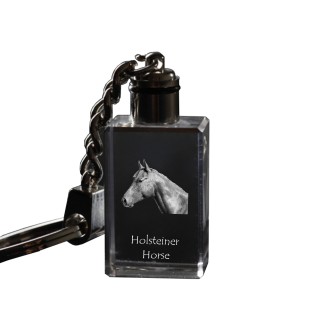 Holsteiner Horse - Crystal pendant with photo of a horse, illuminated pendant, unique gift by Art-Dog brand