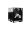 Holsteiner Horse - Candle holder with picture of a horse, crystal tealight holder, personalised gift by Art-Dog brand