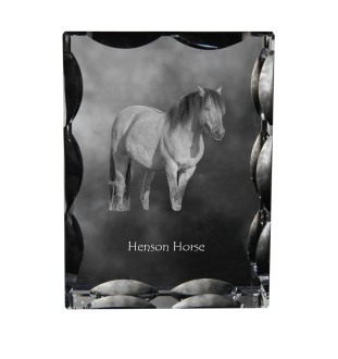 Henson-Pferd - crystal with a picture of a horse, glass statuette with a picture, unique frame with a picture from Art-Dog brand