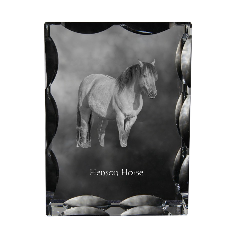 Henson-Pferd - crystal with a picture of a horse, glass statuette with a picture, unique frame with a picture from Art-Dog brand