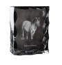 Henson Horse - kryształ ze zdjęciem konia, szklana statuetka ze zdjęciem, wyjątkowa ramka ze zdjęciem marki Art-Dog