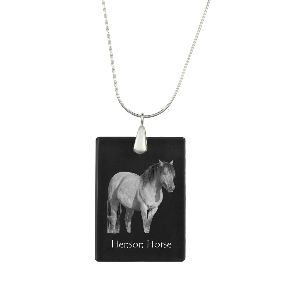 Henson Horse - Crystal pendant with horse, silver necklace with photo, personalised pendant by Art-Dog brand