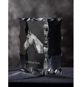 Holsteiner Horse - kryształ ze zdjęciem konia, szklana statuetka ze zdjęciem, wyjątkowa ramka ze zdjęciem marki Art-Dog