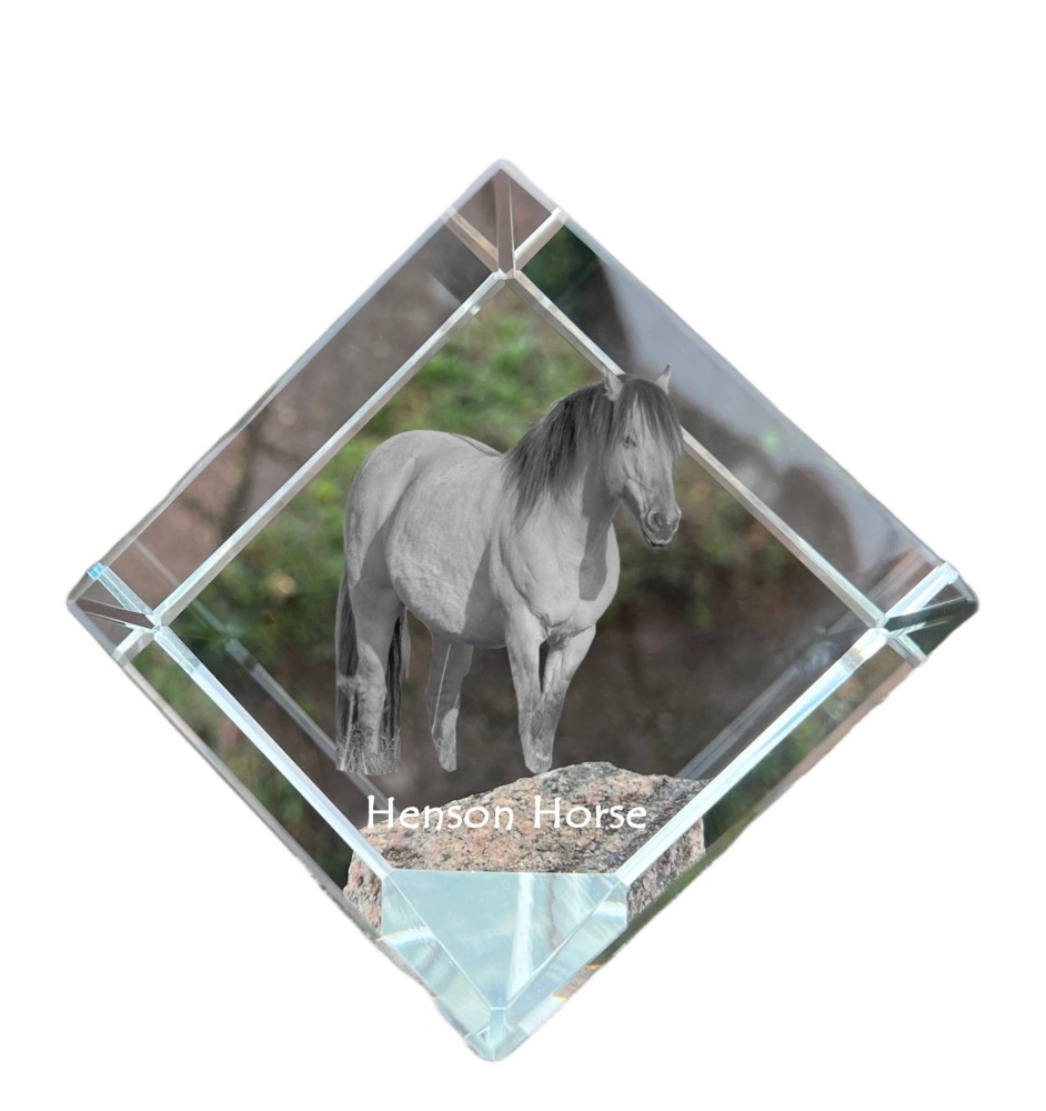 Cheval Henson - un cube de cristal avec une photo de cheval, une photo de cheval dans le cristal, un presse-papiers cubique de la marque Art-Dog