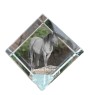 Henson Horse - crystal cube with a horse picture, horse picture in crystal, cubic paperweight from Art-Dog brand