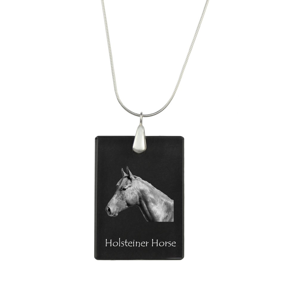 Holsteiner Pferd - Crystal pendant with horse, silver necklace with photo, personalised pendant by Art-Dog brand