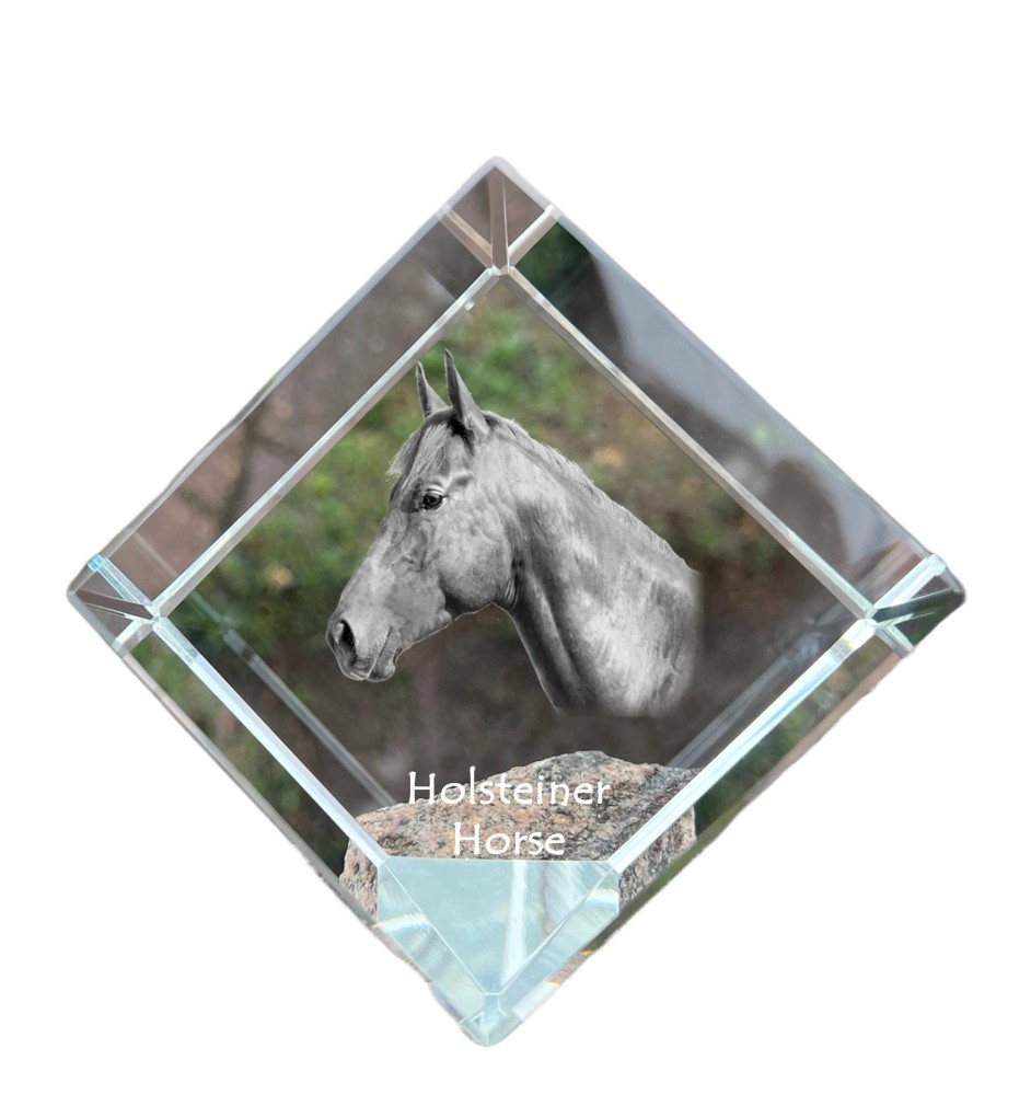 Holsteiner Pferd - Kristallwürfel mit Pferdebild, Pferdebild im Kristall, sechseckiger Papierclip der Marke Art-Dog