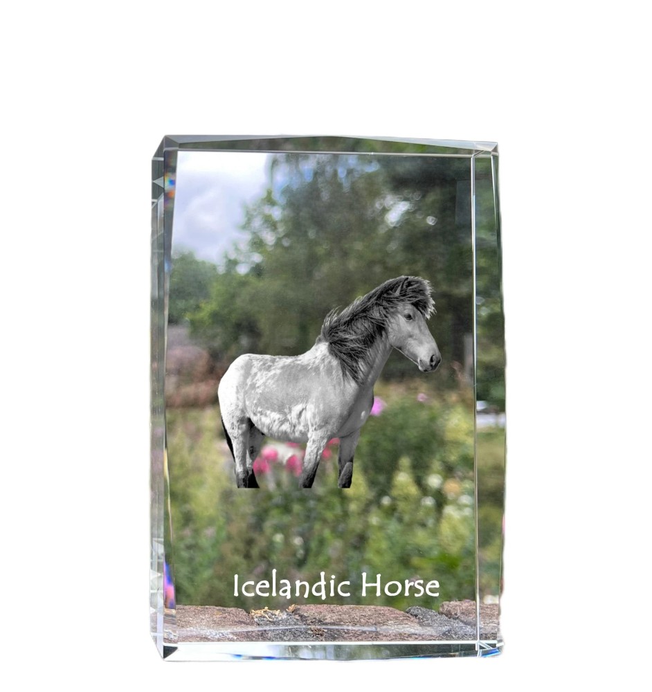 Islandpferd - Kristall mit einem Pferdebild, Bild im Glas, moderne Ausstellung des Art-Dog-Bildes.