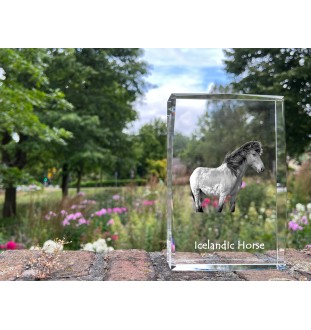 Islandpferd - Kristall mit einem Pferdebild, Bild im Glas, moderne Ausstellung des Art-Dog-Bildes.