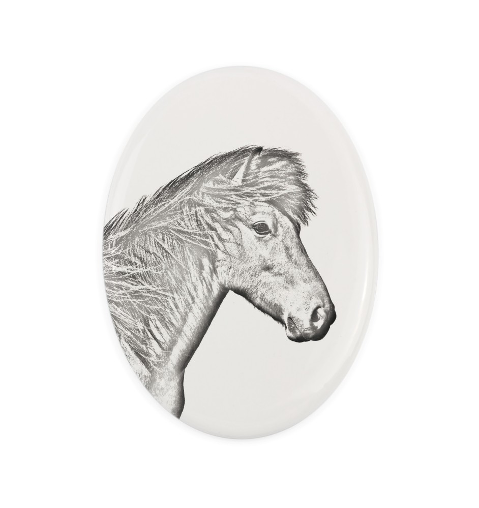 Cheval islandais - une plaque commémorative avec une photo de cheval, une plaque funéraire avec une impression, une plaque ovale personnalisée de la marque Art-Dog